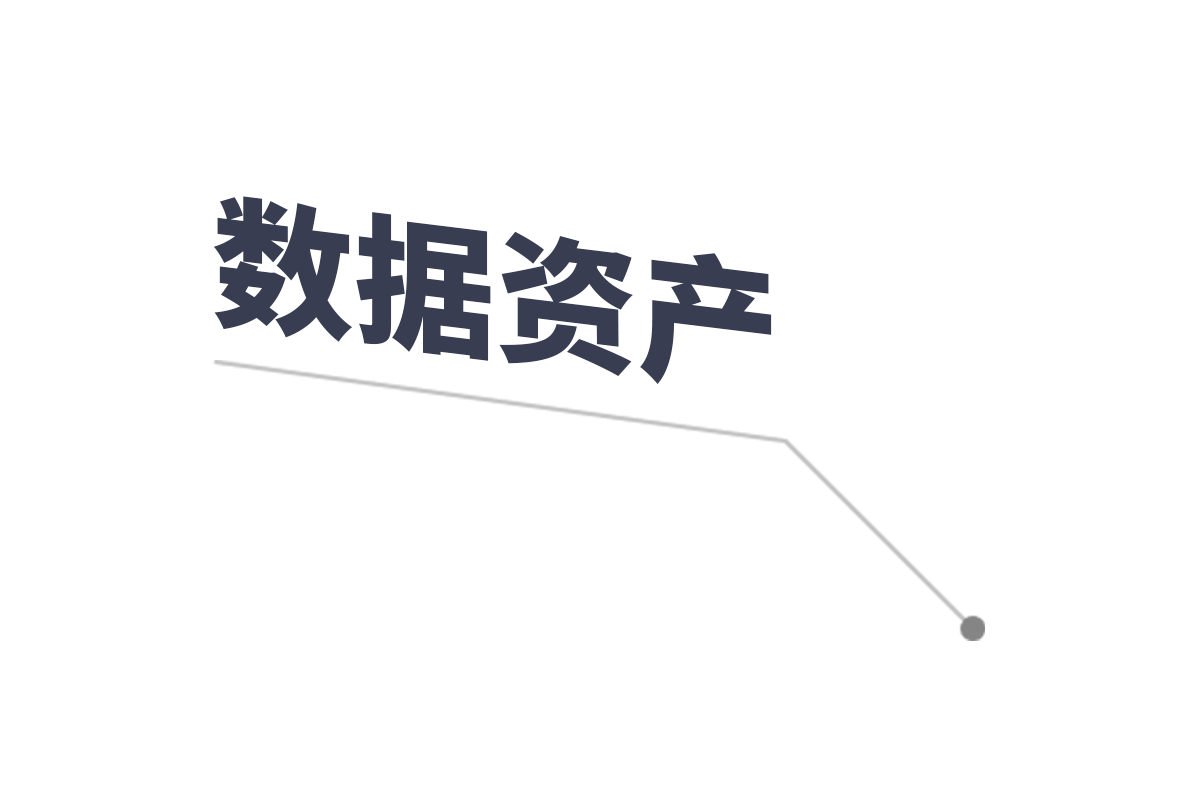 数据资产